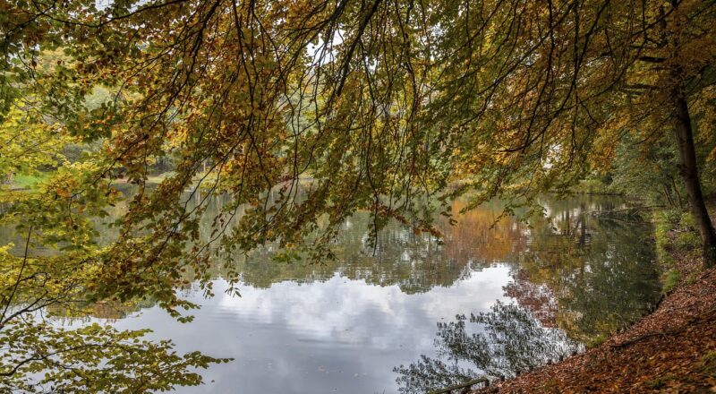 De rol van kobalt in accu’s en waarom recycling toeneemt