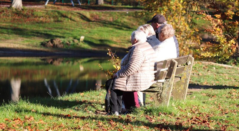 Wat levert een oude scooter uit elkaar halen op?