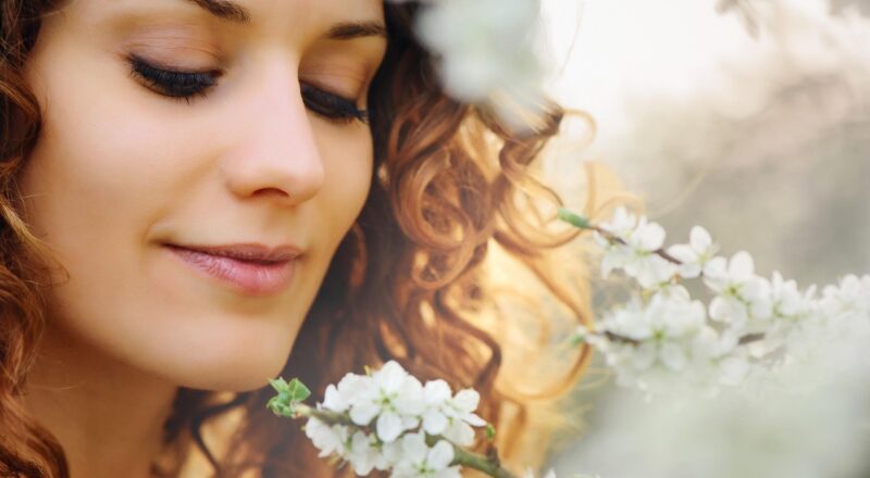 Wat brengt een elektrische step op bij de schrootboer?