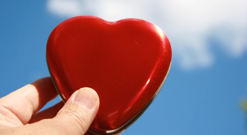 Wat te doen met een kapotte zitmaaier?