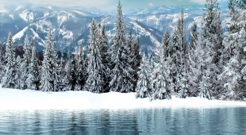 Hoe oude tractoren worden gestript voor waardevolle onderdelen