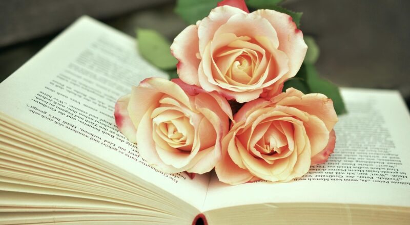 Schrootstromen uit de scheepvaartsector