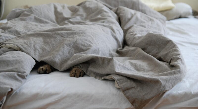 Elektrische boxspring als metaal inleveren