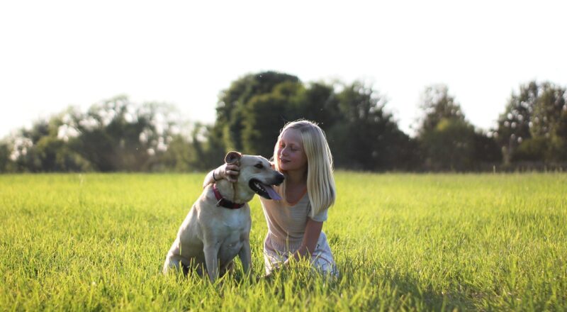 Kapotte metalen speeltoestellen wegbrengen