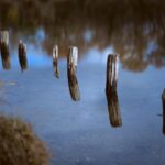 Waarom supermarkten steeds meer metaalafval produceren