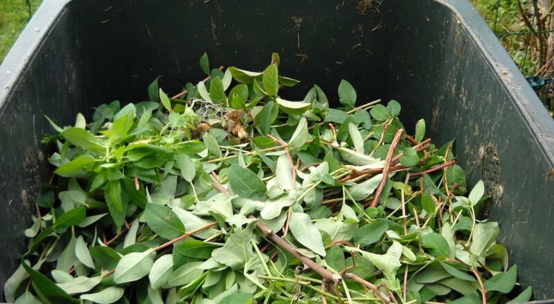 Slimme sensoren in recyclinginstallaties